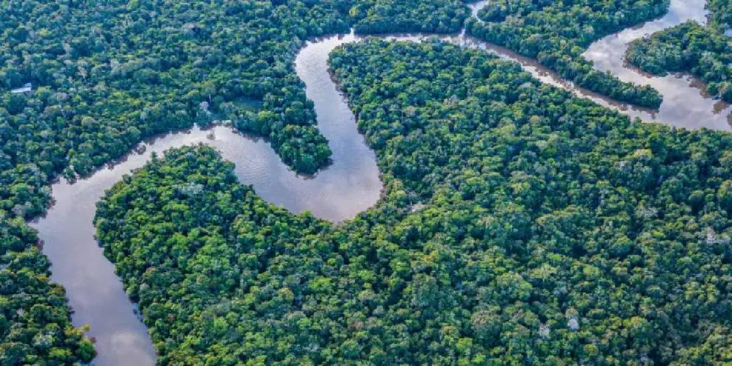 Bir uçtan bir uca akıyor, 11 ülkeyi birbirine bağlıyor! Dünyanın en uzun nehri: Tam 6650 km uzunluğunda 3